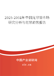 2025-2031年中國光導管市場研究分析與前景趨勢報告