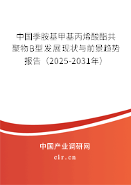 中國季胺基甲基丙烯酸酯共聚物B型發(fā)展現(xiàn)狀與前景趨勢報(bào)告（2025-2031年）