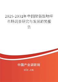 2025-2031年中國聚氨酯地坪市場調查研究與發展趨勢報告