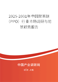 2025-2031年中國聚苯醚（PPO）行業市場調研與前景趨勢報告