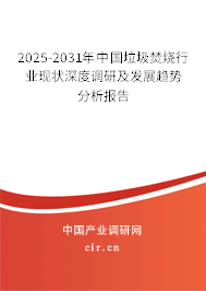 2025-2031年中國垃圾焚燒行業現狀深度調研及發展趨勢分析報告