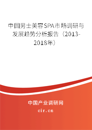中國男士美容SPA市場調研與發展趨勢分析報告（2013-2018年）