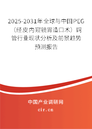 2025-2031年全球與中國PEG（經皮內窺鏡胃造口術）飼管行業現狀分析及前景趨勢預測報告