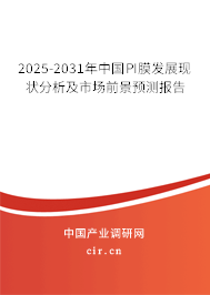 2025-2031年中國PI膜發展現狀分析及市場前景預測報告