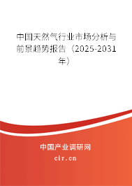 中國天然氣行業(yè)市場分析與前景趨勢報告（2025-2031年）