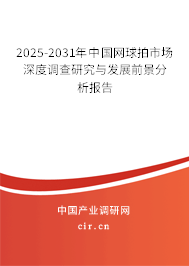 2025-2031年中國網(wǎng)球拍市場深度調(diào)查研究與發(fā)展前景分析報(bào)告