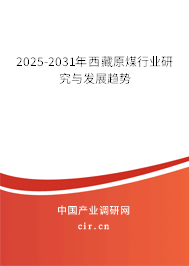 2025-2031年西藏原煤行業研究與發展趨勢