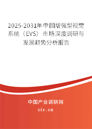 2025-2031年中國增強型視覺系統（EVS）市場深度調研與發展趨勢分析報告