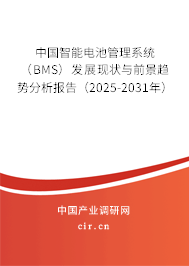 中國智能電池管理系統(tǒng)（BMS）發(fā)展現(xiàn)狀與前景趨勢分析報告（2025-2031年）