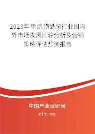 2023年甲烷磺酰胺行業國內外市場發展比較分析及營銷策略評估預測報告