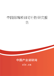 中國(guó)煙嘴項(xiàng)目可行性研究報(bào)告