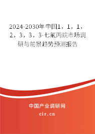 2024-2030年中國1，1，1，2，3，3，3-七氟丙烷市場調研與前景趨勢預測報告