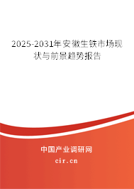 2025-2031年安徽生鐵市場(chǎng)現(xiàn)狀與前景趨勢(shì)報(bào)告