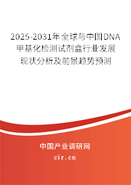 2025-2031年全球與中國DNA甲基化檢測(cè)試劑盒行業(yè)發(fā)展現(xiàn)狀分析及前景趨勢(shì)預(yù)測(cè)