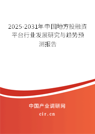 2025-2031年中國地方投融資平臺行業(yè)發(fā)展研究與趨勢預(yù)測報告