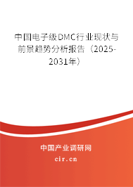 中國電子級DMC行業現狀與前景趨勢分析報告（2025-2031年）