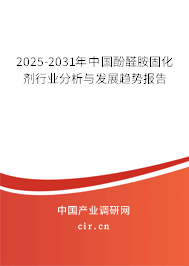 2025-2031年中國酚醛胺固化劑行業分析與發展趨勢報告