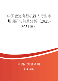 中國管道爬行機器人行業市場調研與前景分析（2025-2031年）