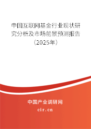 中國互聯網基金行業現狀研究分析及市場前景預測報告（2025年）
