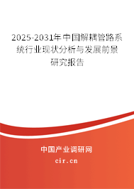 2025-2031年中國解耦管路系統行業現狀分析與發展前景研究報告