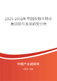 2025-2031年中國女鞋市場全面調研與發展趨勢分析
