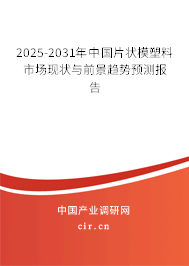 2025-2031年中國片狀模塑料市場現狀與前景趨勢預測報告