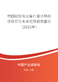 中國輕型電動車行業市場現狀研究與未來前景趨勢報告（2025年）