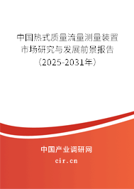 中國熱式質量流量測量裝置市場研究與發展前景報告（2025-2031年）