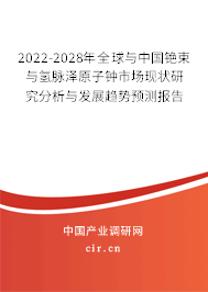 2022-2028年全球與中國銫束與氫脈澤原子鐘市場現狀研究分析與發展趨勢預測報告