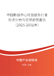 中國數據中心托管服務行業現狀分析與前景趨勢報告（2025-2031年）