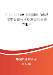 2025-2031年中國網球拍市場深度調查分析及發展前景研究報告