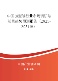 中國(guó)微型軸行業(yè)市場(chǎng)調(diào)研與前景趨勢(shì)預(yù)測(cè)報(bào)告（2025-2031年）