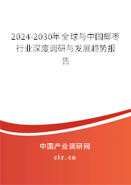 2024-2030年全球與中國椰棗行業(yè)深度調研與發(fā)展趨勢報告