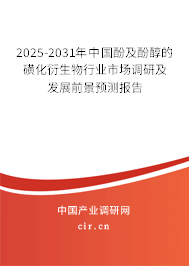 2025-2031年中國酚及酚醇的磺化衍生物行業(yè)市場調研及發(fā)展前景預測報告