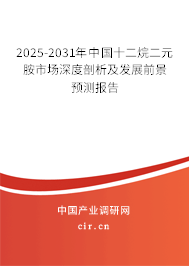 2025-2031年中國十二烷二元胺市場深度剖析及發(fā)展前景預(yù)測報告