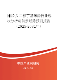 中國2,6-二叔丁基苯酚行業現狀分析與前景趨勢預測報告（2025-2031年）