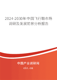 2023-2029年中國飛行鞋市場調研及發展前景分析報告