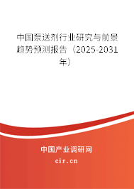 中國(guó)泵送劑行業(yè)研究與前景趨勢(shì)預(yù)測(cè)報(bào)告（2025-2031年）