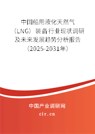 中國船用液化天然氣（LNG）裝備行業現狀調研及未來發展趨勢分析報告（2025-2031年）