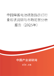 中國帶蓄電池疏散指示燈行業現狀調研與市場前景分析報告（2025年）