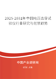 2025-2031年中國電壓擊穿試驗儀行業研究與前景趨勢