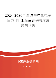 2024-2030年全球與中國電子壓力計行業全面調研與發展趨勢報告