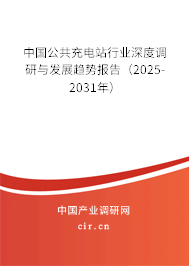 中國公共充電站行業深度調研與發展趨勢報告（2025-2031年）