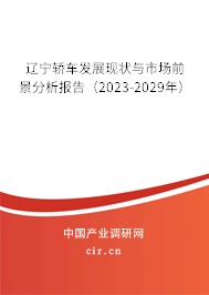 遼寧轎車發展現狀與市場前景分析報告（2023-2029年）