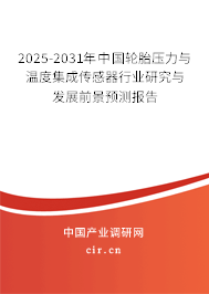 2025-2031年中國輪胎壓力與溫度集成傳感器行業研究與發展前景預測報告
