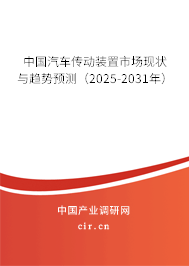 中國汽車傳動裝置市場現狀與趨勢預測（2025-2031年）