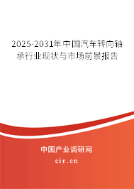 2025-2031年中國汽車轉向軸承行業現狀與市場前景報告