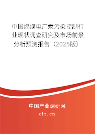 中國燃煤電廠汞污染控制行業現狀調查研究及市場前景分析預測報告（2025版）
