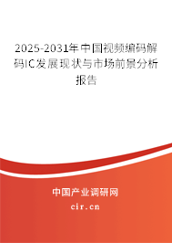 2025-2031年中國視頻編碼解碼IC發展現狀與市場前景分析報告