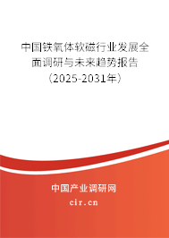 中國鐵氧體軟磁行業發展全面調研與未來趨勢報告（2025-2031年）